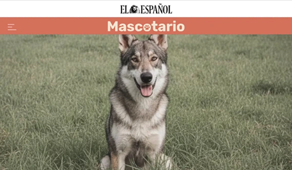 Alberto de lobos El Español